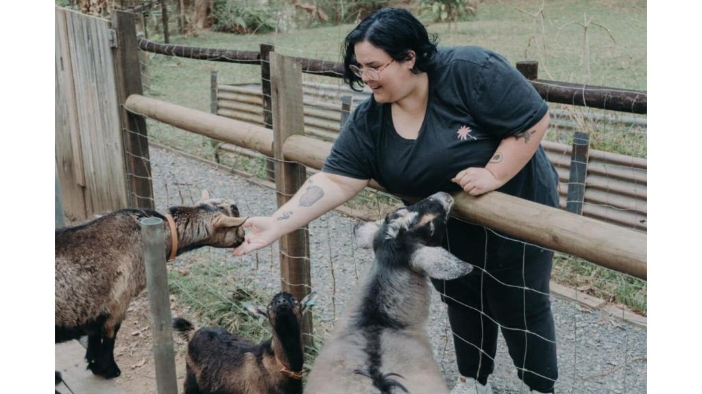Altri animali domestici presso la casa vacanze o nei dintorni