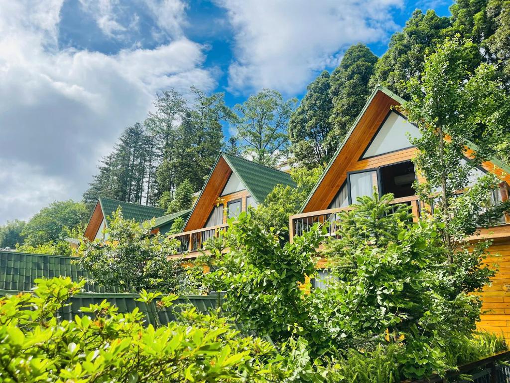 Sapa Pine Hill Eco Lodge - 14