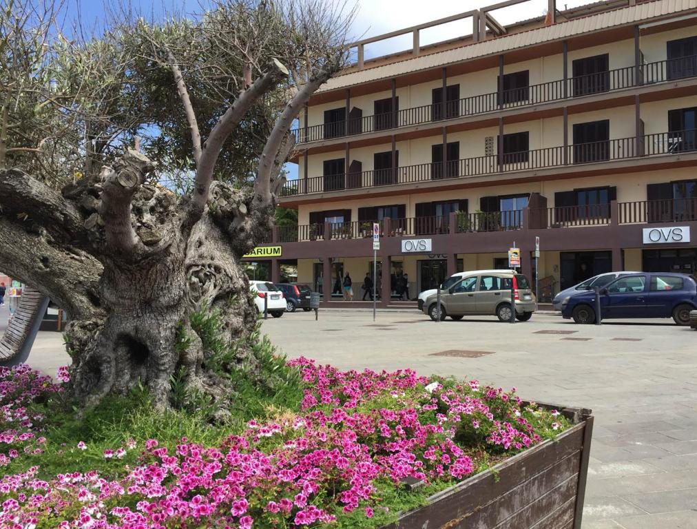 un albero in un letto a fiori di fronte a un edificio di B&b Sulis ad Alghero