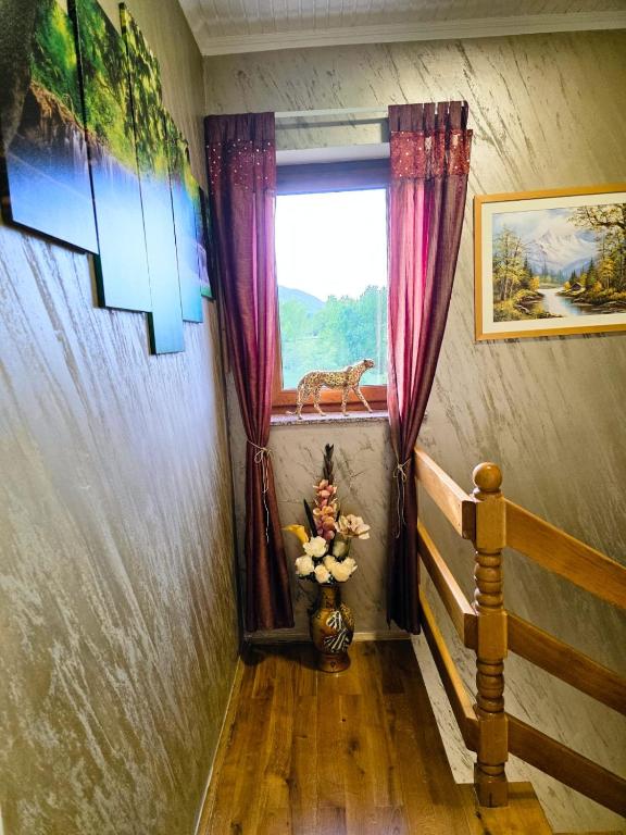 Hosté ubytování Deluxe Apartments Franjkovic