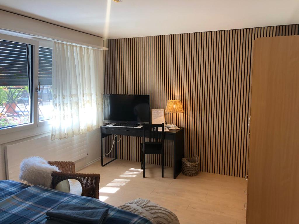 TV a/nebo společenská místnost v ubytování Ferienhaus Zulg-Doppelzimmer mit Gartenblick
