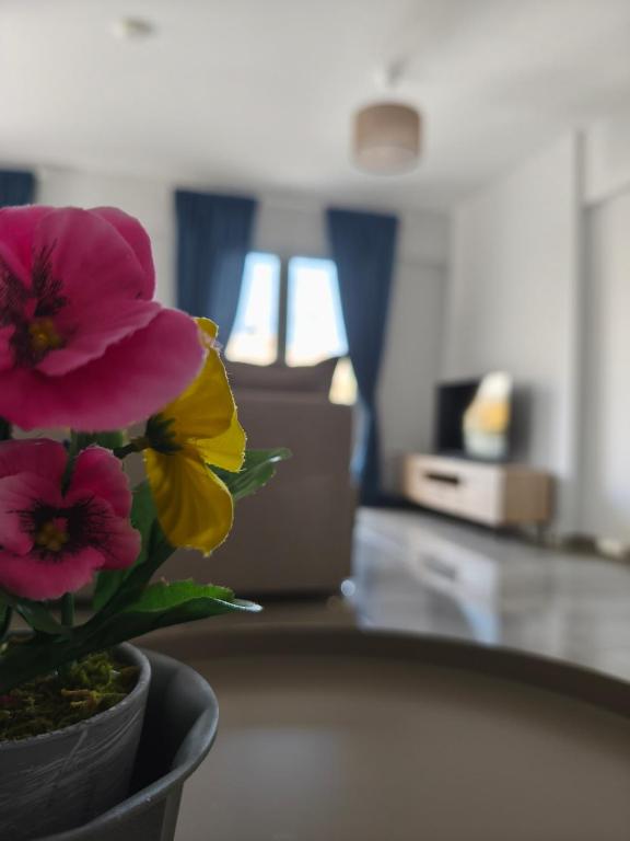 Katil atau katil-katil dalam bilik di David Luxury Experience Γ3