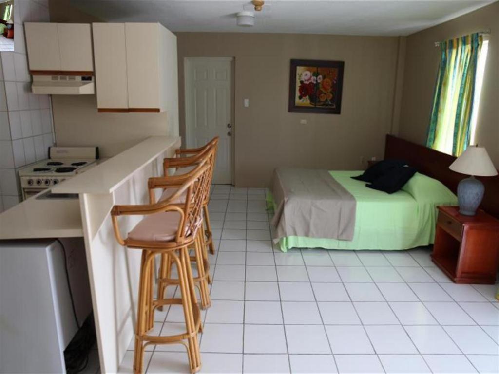 Kuchyň nebo kuchyňský kout v ubytování Curacao Lodge