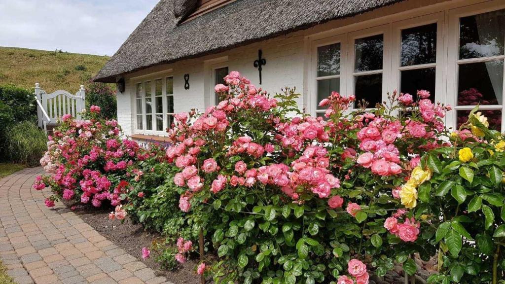 Zahrada ubytování Haus Husen ID 430