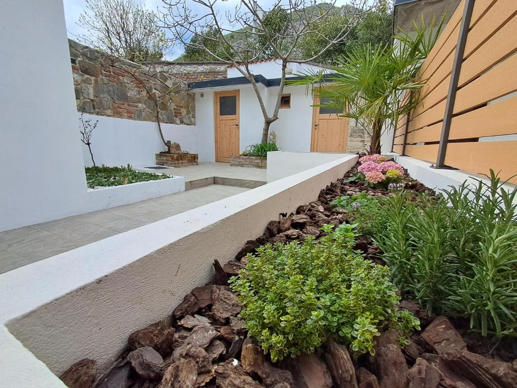 a garden in front of a house with plants at Rozalija house - Počitniška hiša z vrtom ob reki Soči v Solkanu in Solkan