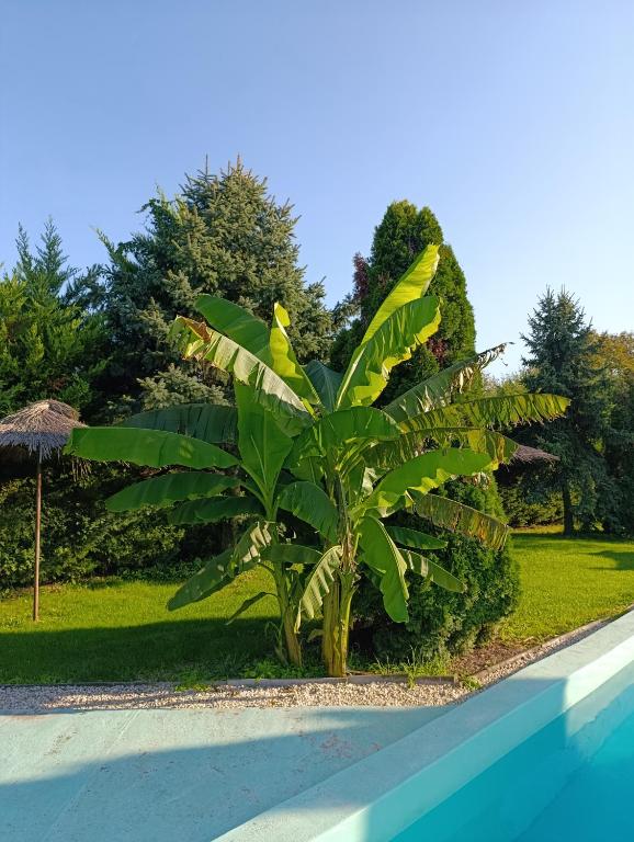 The swimming pool at or close to Village Park
