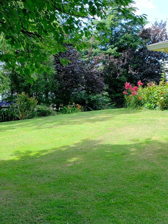 Cozy 1 ?????? - Resim 16