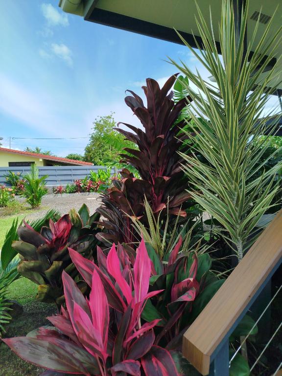Papeari sea side 1 Logement neuf en bord de mer - photo 12 - Tahiti, Polynésie