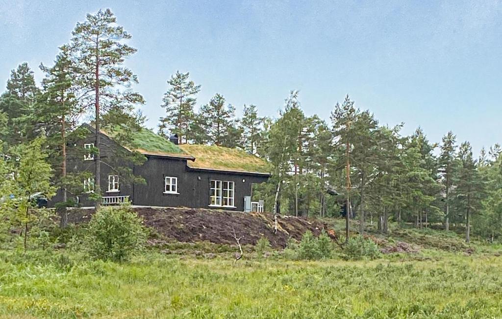 a house with a grass roof on top of a field at 4 Bedroom Nice Home In Åmli in Åmli