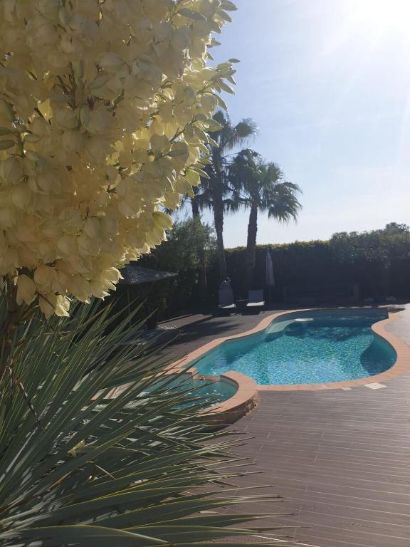 une piscine avec des fleurs jaunes suspendues à un arbre dans l'établissement Villa La Lauzade, au Luc