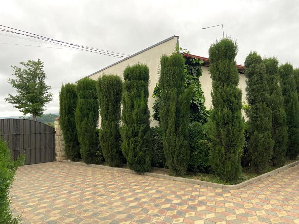 Zahrada ubytování Hotel Doko