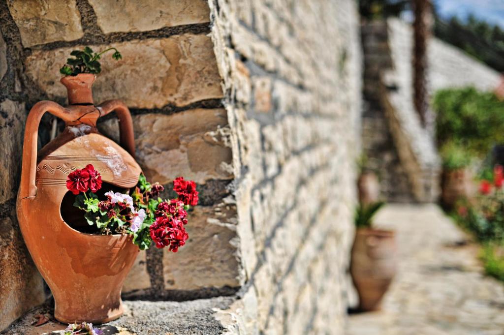 Zahrada ubytování Elena-Pelagia Villas