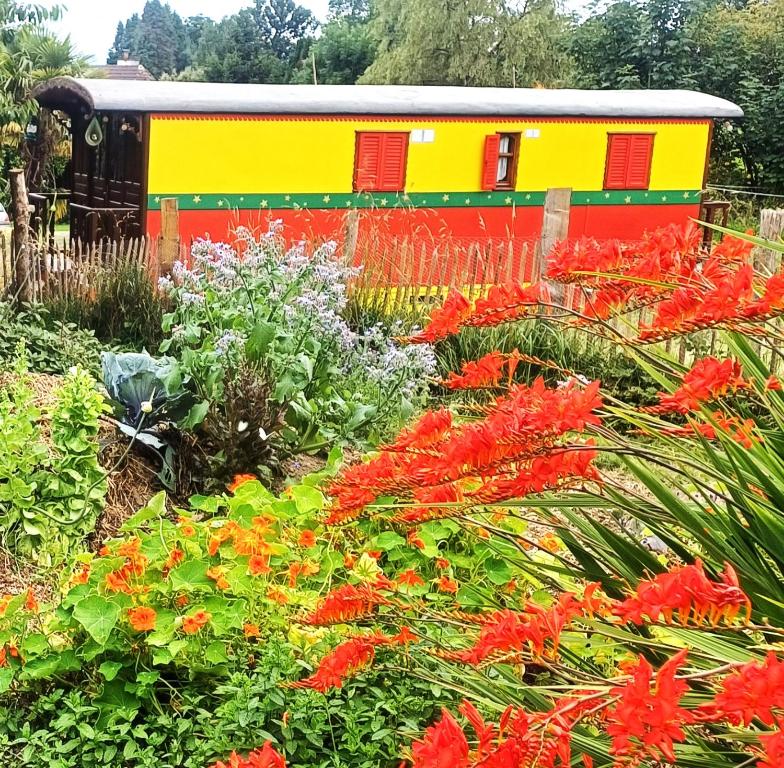 un jardin coloré avec des fleurs devant un train dans l'établissement Roulotte Mon rêve en Normandie, à Le Mesnil-Garnier
