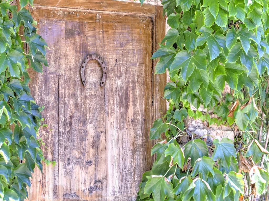 Fotografie z fotogalerie ubytování Farmhouse in Marsciano with vineyards olive groves v destinaci Marsciano