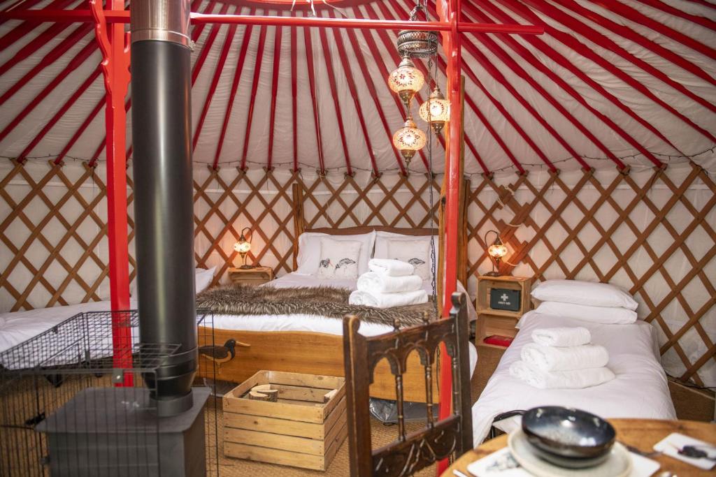 阿斯克里格Oystercatcher的蒙古包内带一张床和炉灶的房间