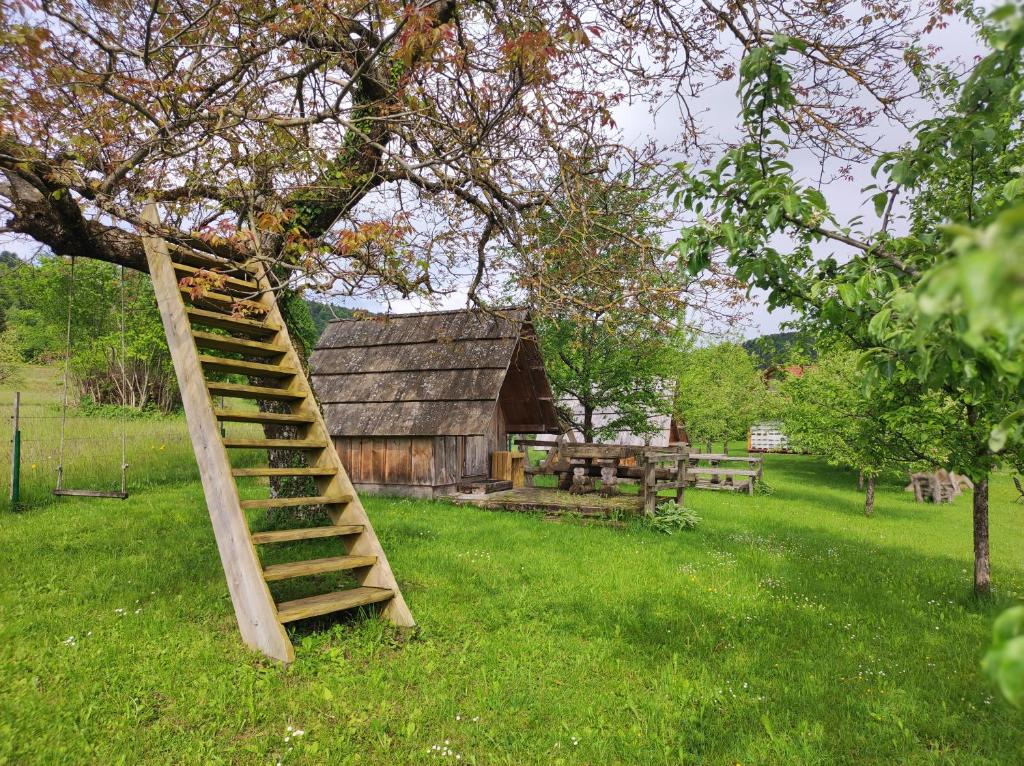 Zahrada ubytování Village Vista