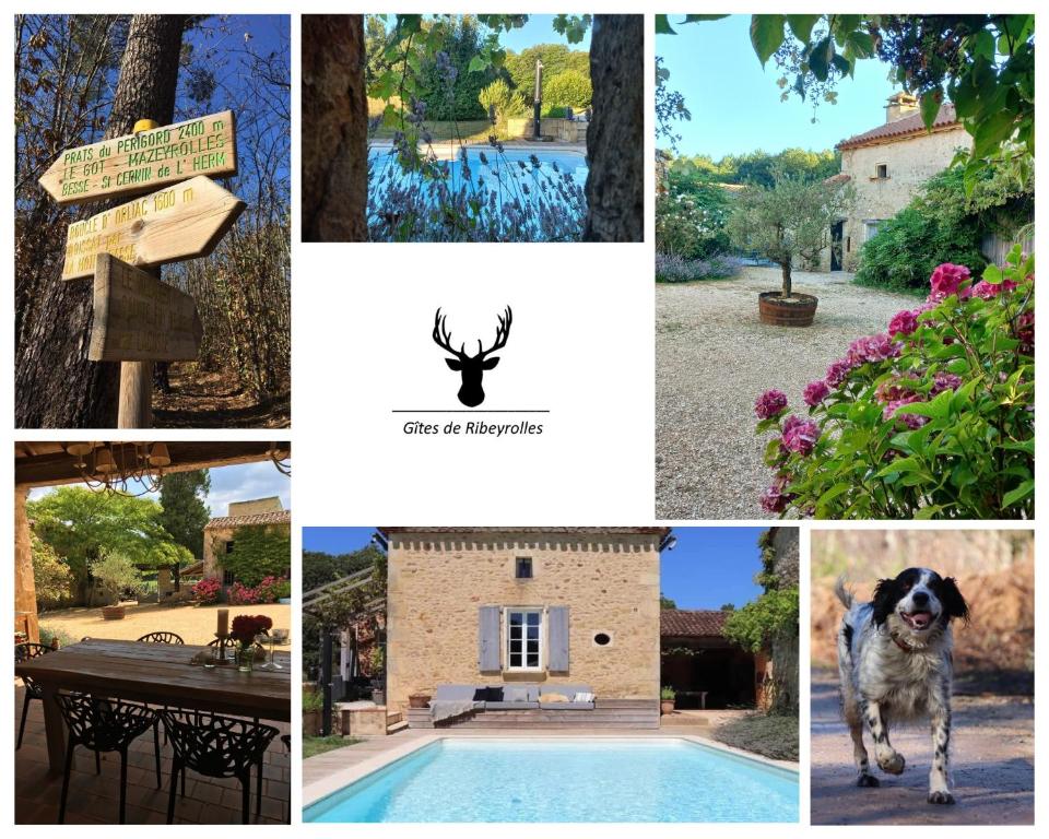 un collage de photos avec un chien et une maison dans l'établissement L' Ecurie, à Lavaur