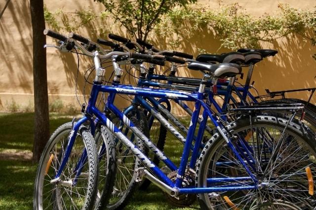 Jízda na kole v ubytování El Gualicho Hostel nebo okolí