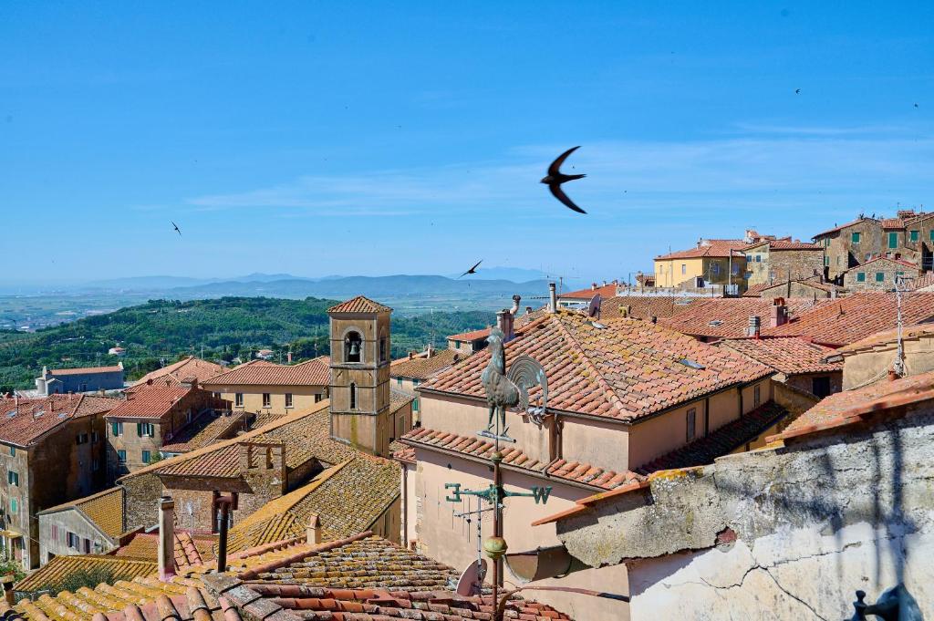 un pájaro volando sobre los tejados de una ciudad en la Soffitta, en Campiglia Marittima