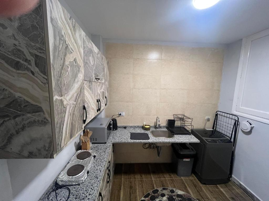 Kuchyň nebo kuchyňský kout v ubytování Downtown House Suites