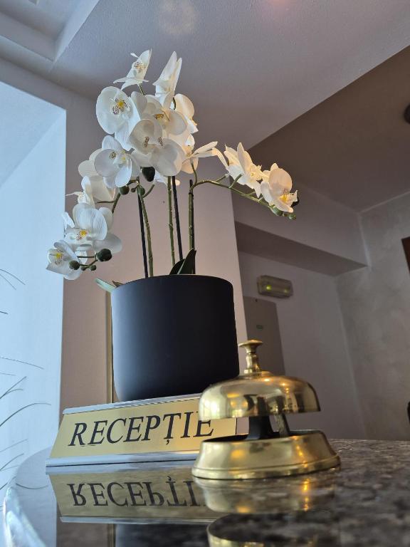 Excelsior Hotel Timisoara - Resim 12