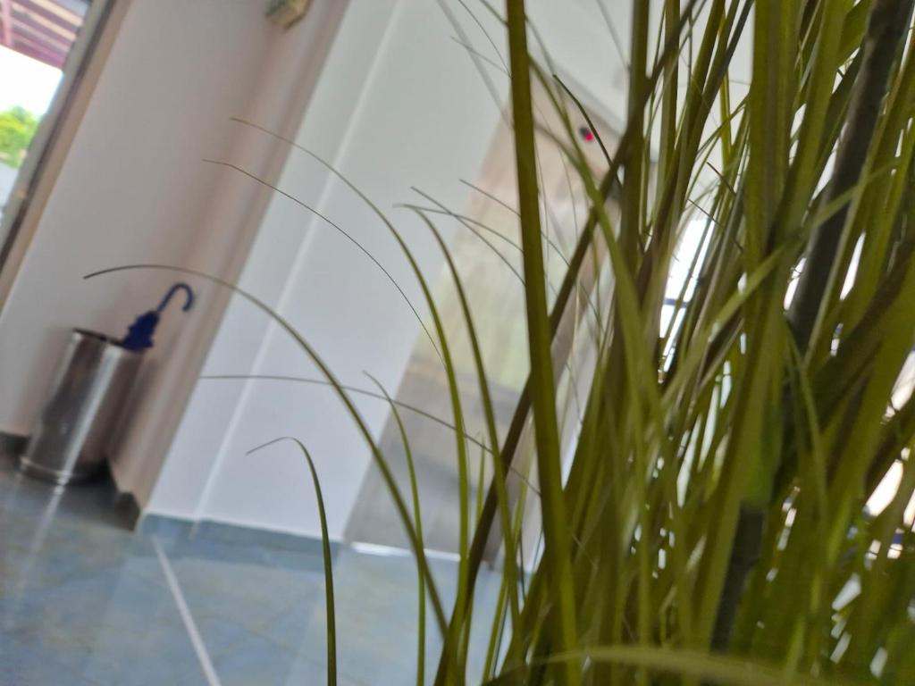 Excelsior Hotel Timisoara - Resim 18