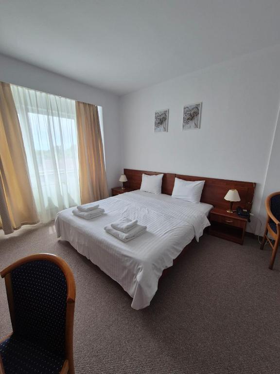 Excelsior Hotel Timisoara - Resim 35