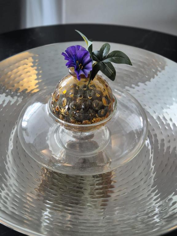 Excelsior Hotel Timisoara - Resim 36