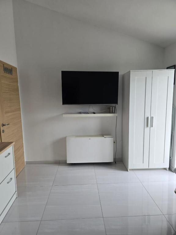 Televízia a/alebo spoločenská miestnosť v ubytovaní Apartments Sokolović