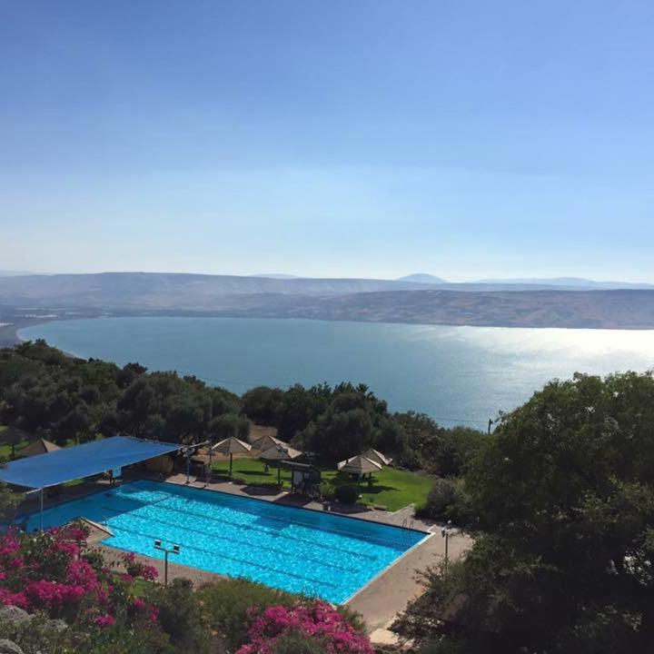 The swimming pool at or close to מצפה השלום