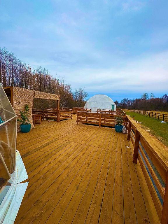 Příroda nedaleko luxury tent