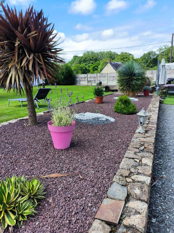 un jardin avec des plantes en pot dans une cour dans l'établissement chambre d’hôte naturiste ou pas, à Miniac-Morvan