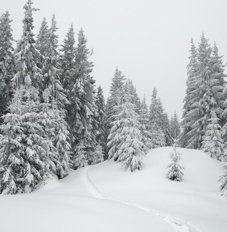 SKOG Aurora igloos v zimě