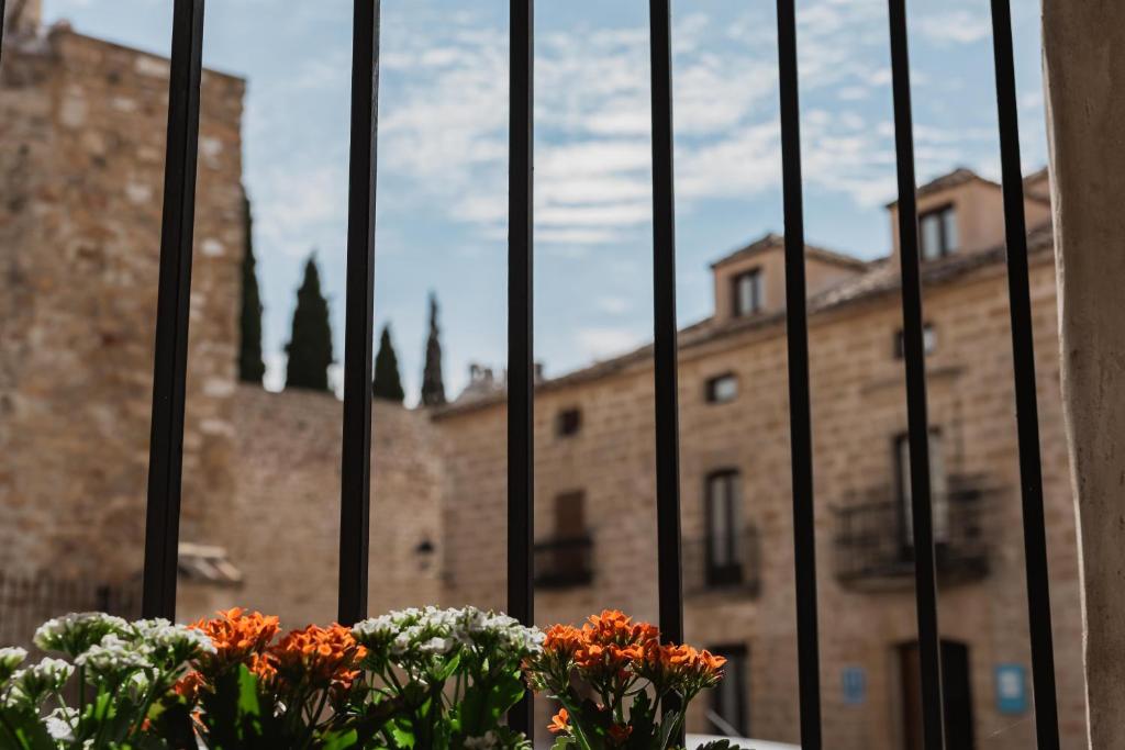 Fotografie z fotogalerie ubytování Mar de Olivos Baeza v destinaci Baeza