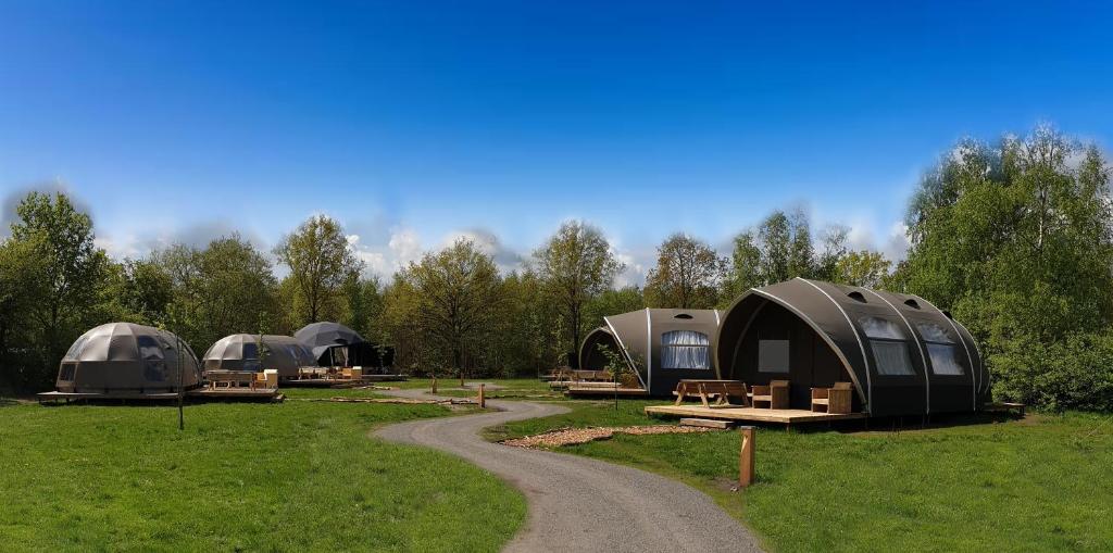 Zahrada ubytování Big Oak