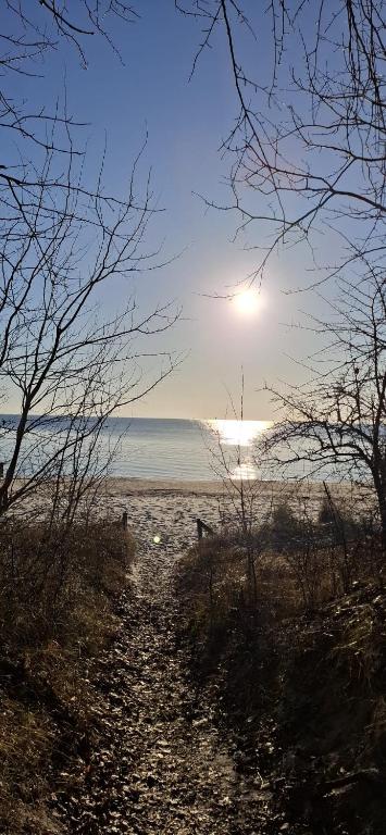 a path leading to a beach with the sun in the sky at Strandtraum Lobbe Fewo 6, auf Anfrage mit Strandkorb in Lobbe