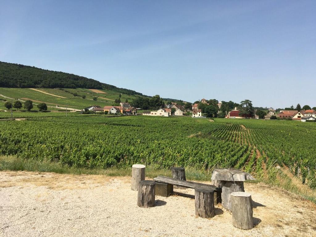 a wooden bench sitting in front of a field at Petite chambre indépendante, parking in Gevrey-Chambertin