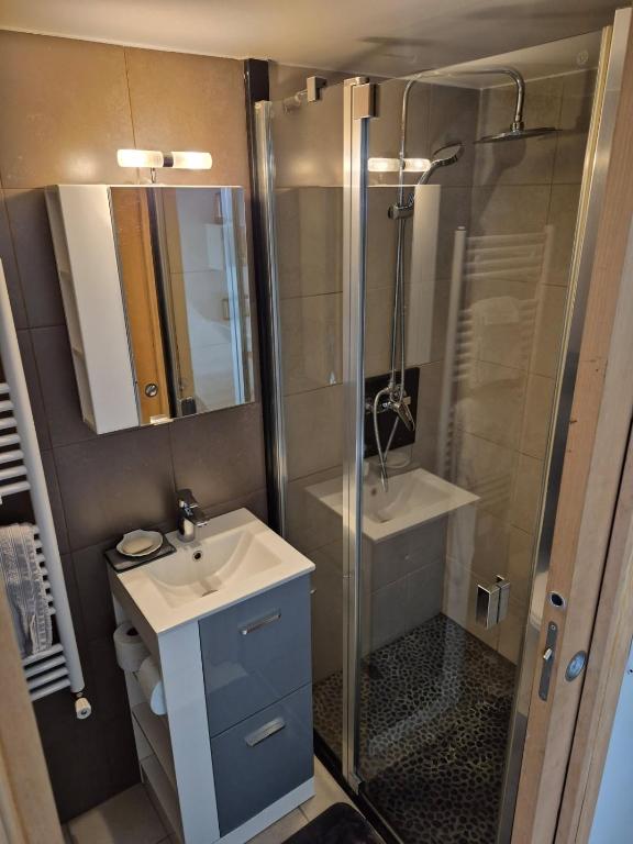 La petite salle de bains est pourvue d'une douche et d'un lavabo. dans l'établissement Au coin tranquille, à Champigny-sur-Marne