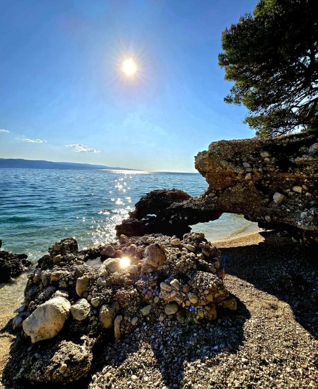 Apartments Matić - 13