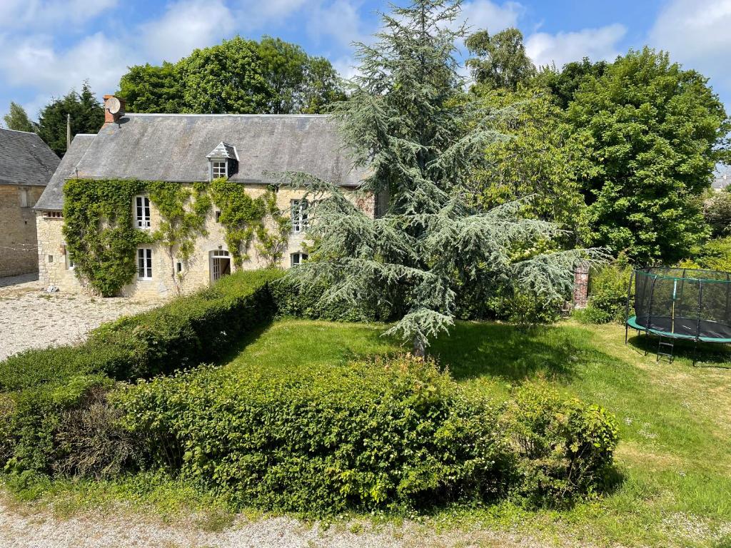 une vieille maison avec un arbre en face dans l'établissement Maison spacieuse entre Bois Mer et Marais, à Canchy