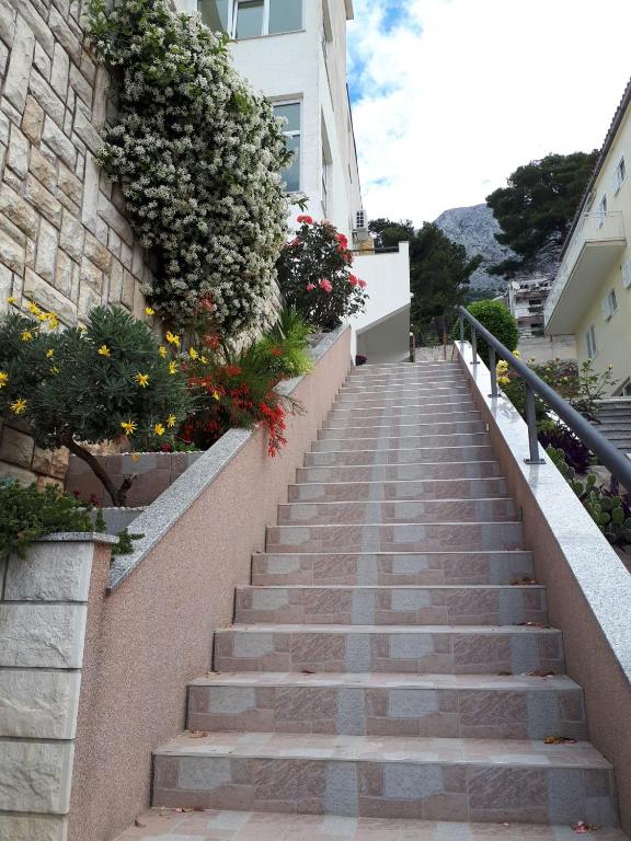 Apartments Matić - 10