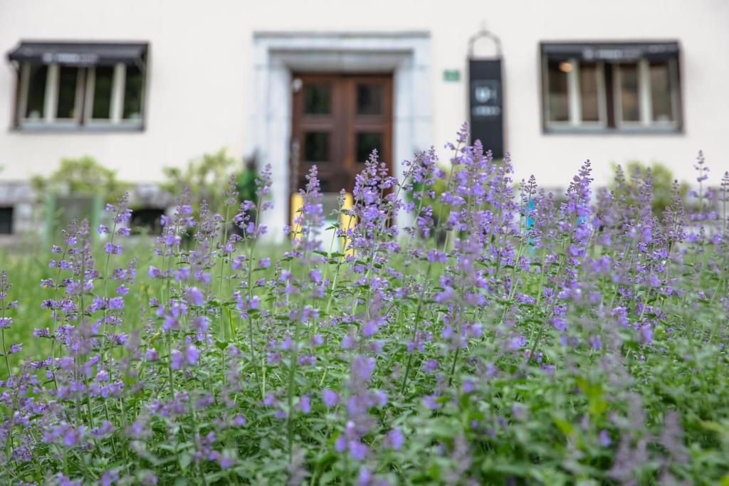 Urban Boutique Hotel Center - Resim 9