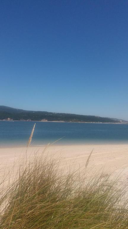 a beach with some grass and some water and some sand at Ha Mar ao Luar in Setúbal