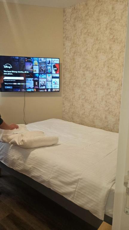 Little Bucharest downtown apartments Romana - Resim 29