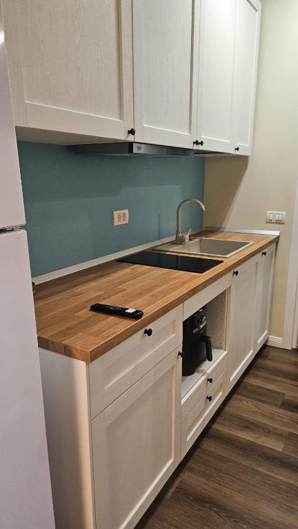 Little Bucharest downtown apartments Romana - Resim 31