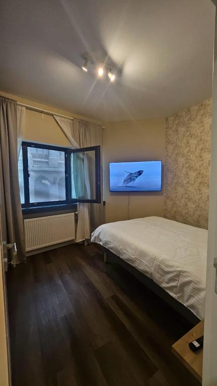 Little Bucharest downtown apartments Romana - Resim 34