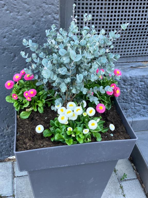 Zahrada ubytování Ferienzimmer LANG