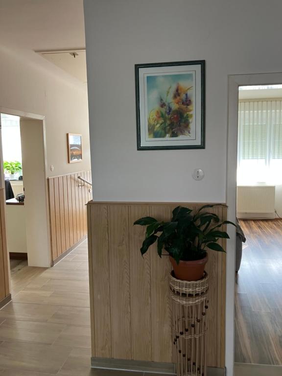 Fotografie z fotogalerie ubytování Ferienzimmer LANG v destinaci Apetlon