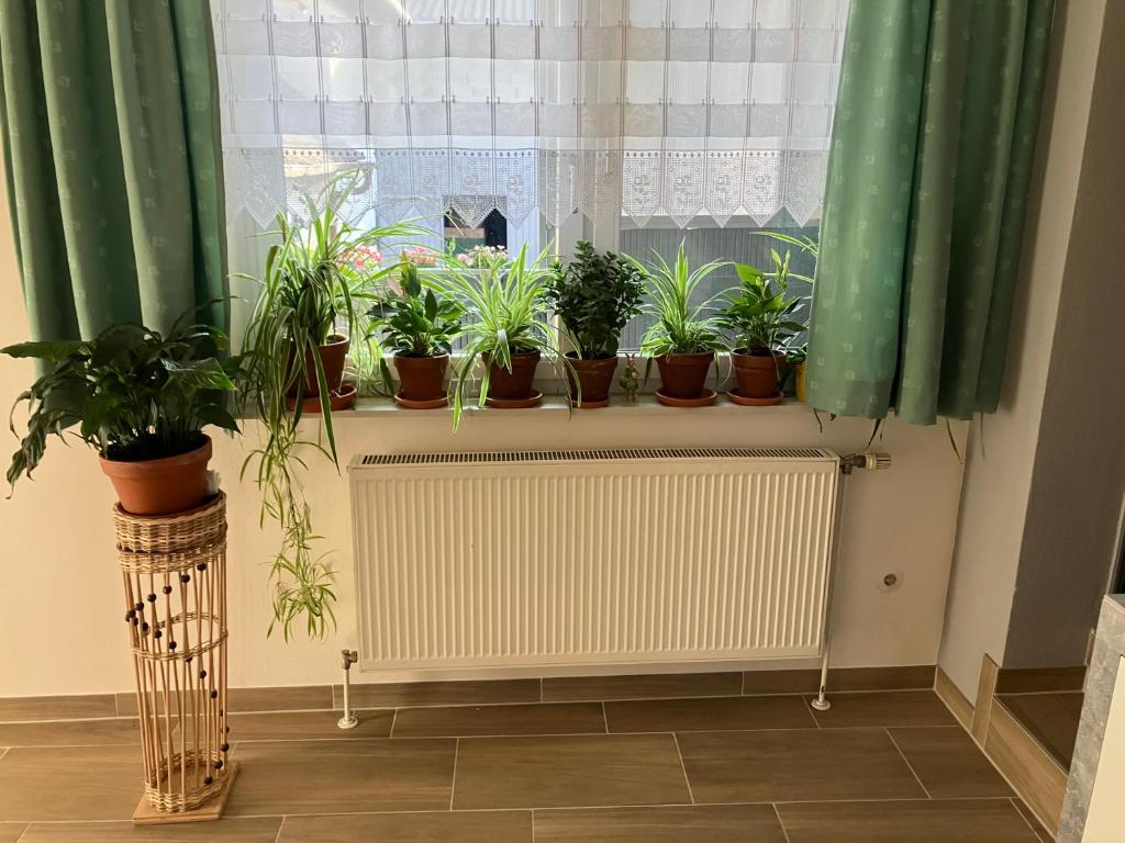 Fotografie z fotogalerie ubytování Ferienzimmer LANG v destinaci Apetlon
