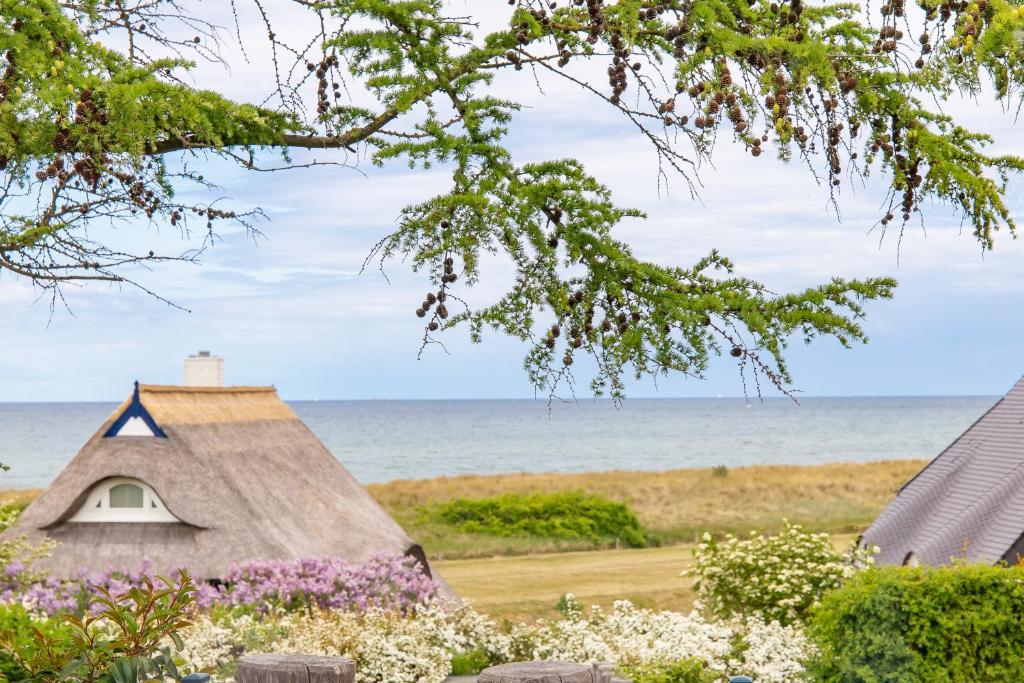 a thatch roofed house with the ocean in the background at Haus Anna Atelier in Ahrenshoop
